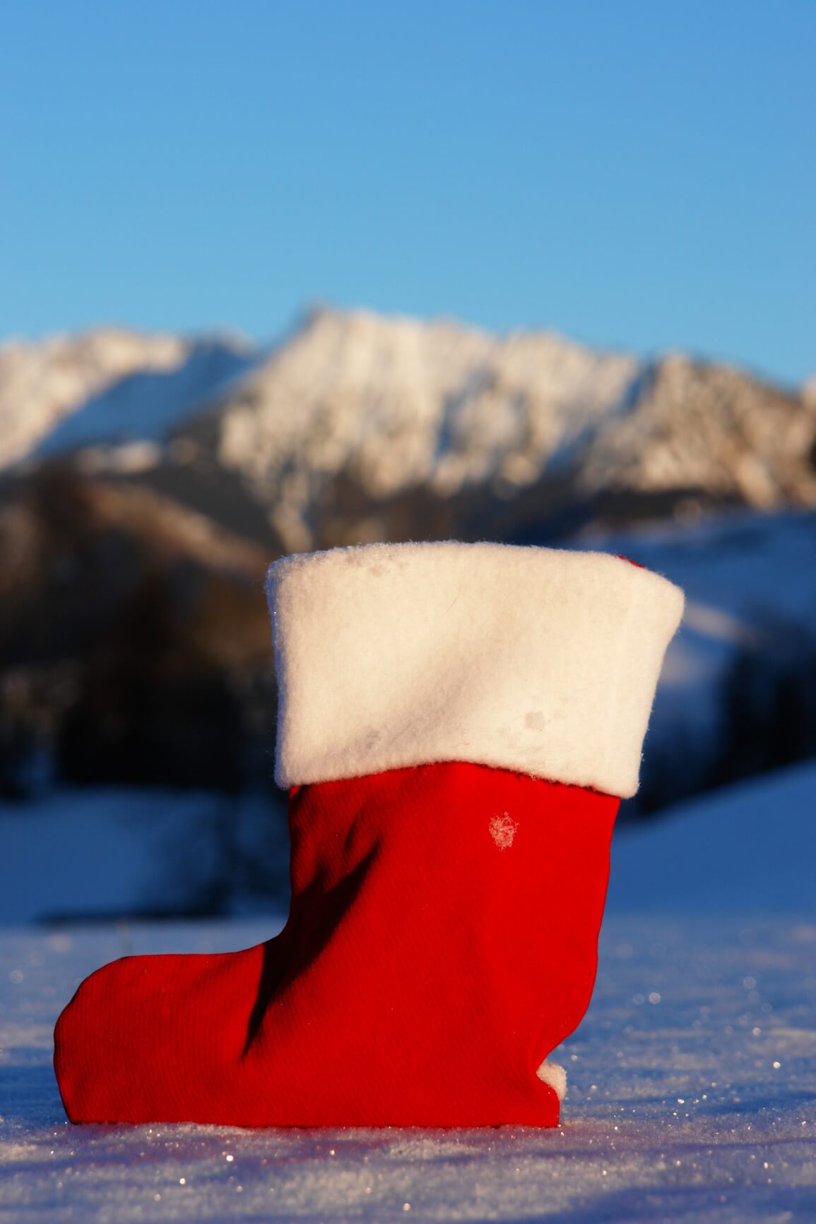 Merry Christmas Everyone!