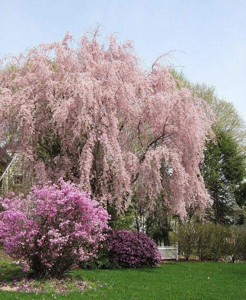 10 From GEM: Spring Break Edition: 10 Ways To Maximize Your Staycation
