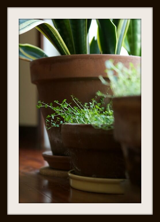 10 From GEM: 10 Super Easy Ways To Green Clean Your Home