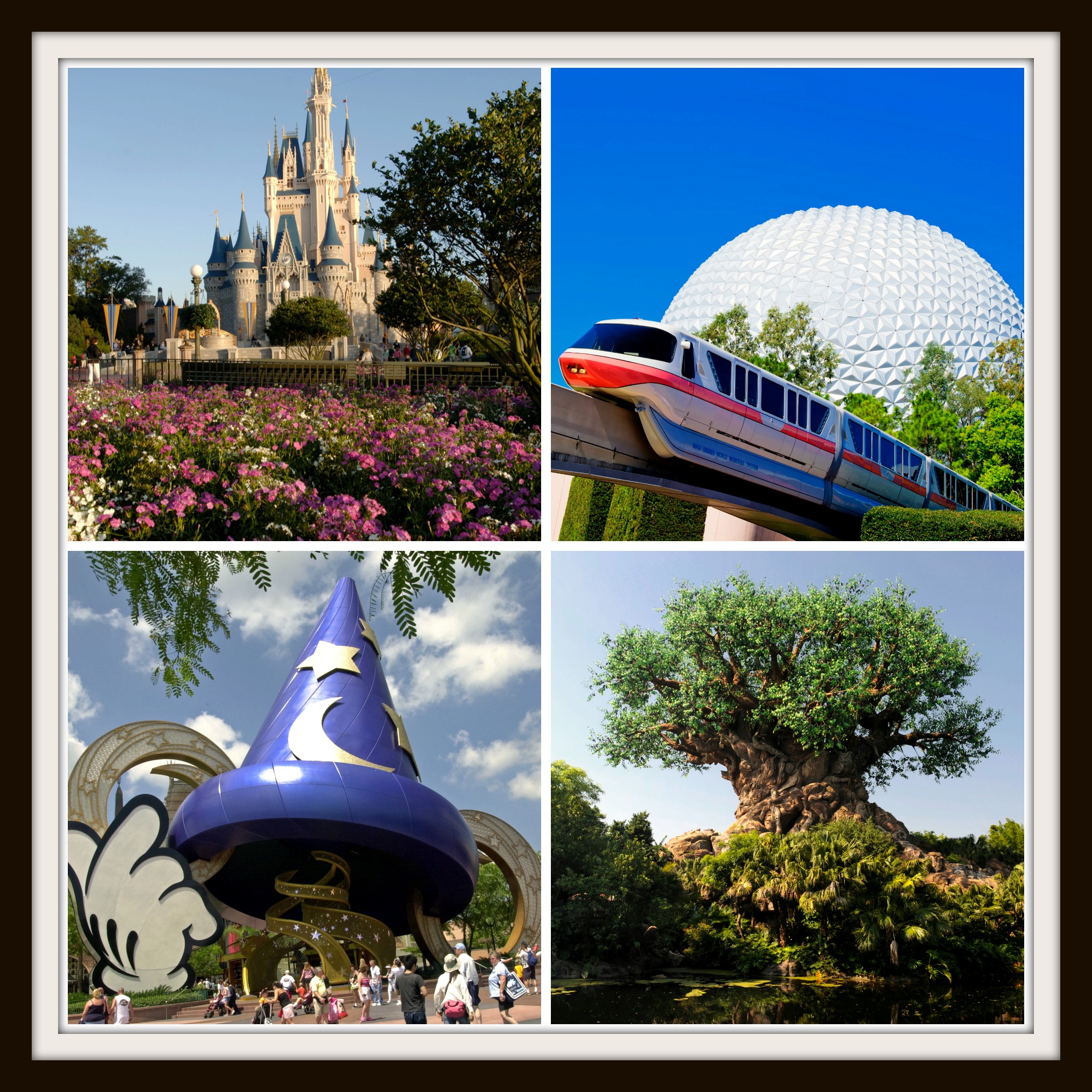 Pixie Dust Central: 4 Reasons To Visit Walt Disney World In 2014