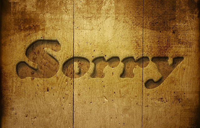 Single Mom Slice of Life: Your Sorry Stance