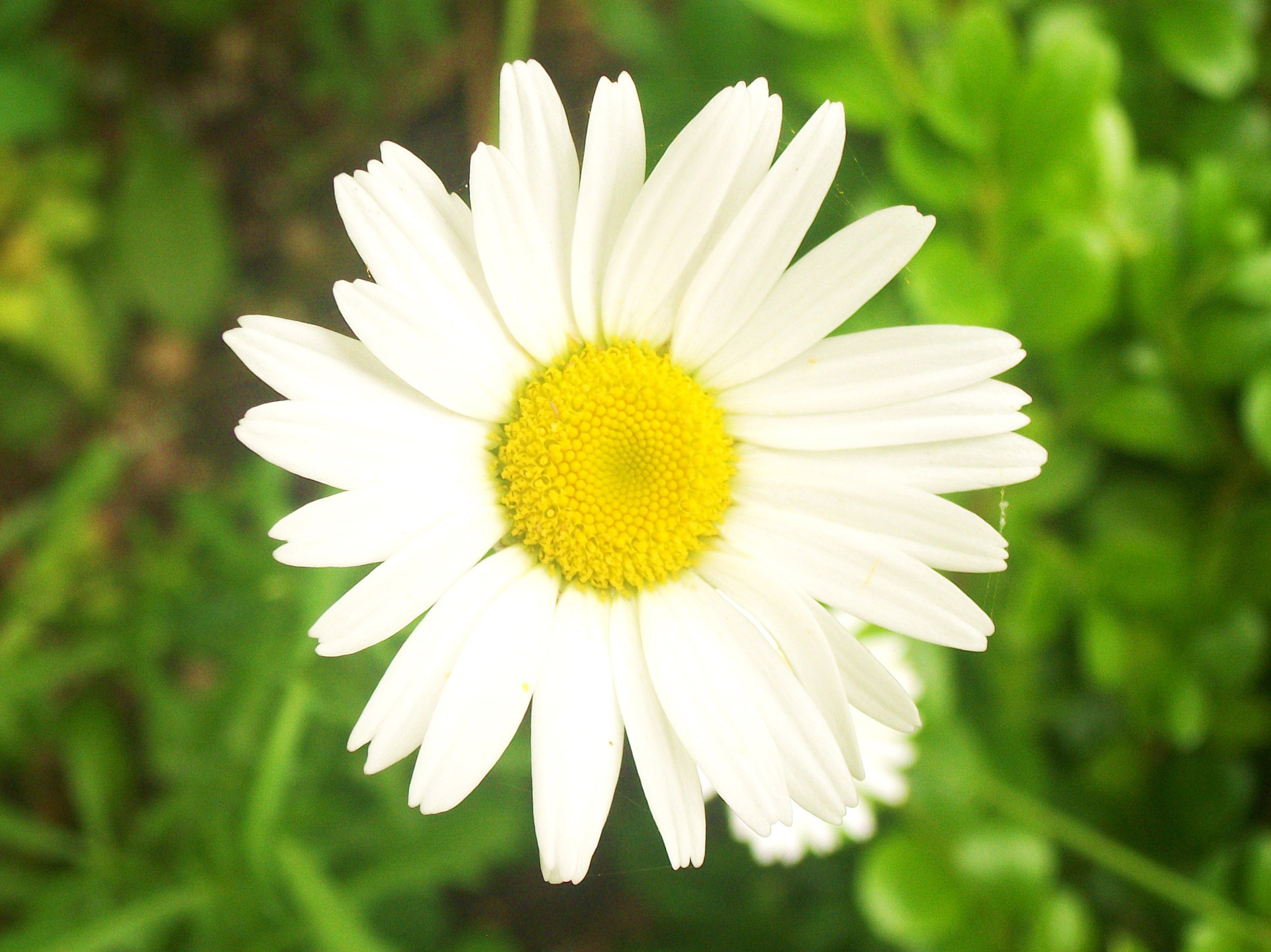 10 From GEM: 10 Ways to Make Your Life Better